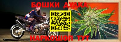 Альфа ПВП Заволжье