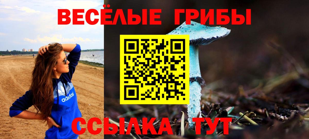 Псилоцибиновые грибы Psilocybine cubensis  Псилоцибиновые грибы Cubensis  Пенза  Вход с VPN 