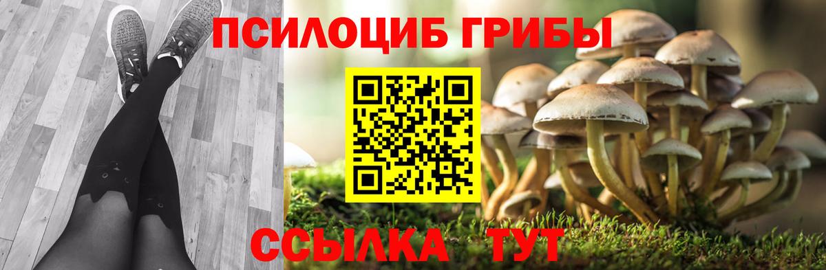 Псилоцибиновые грибы мицелий Пенза